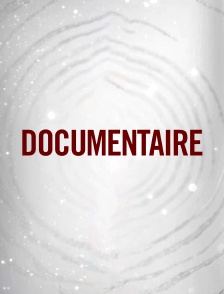 Documentaire