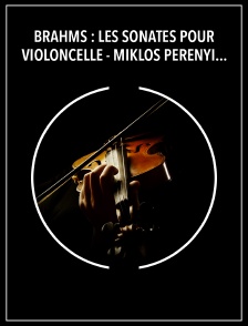 Brahms : Les sonates pour violoncelle - Miklós Perényi, Zoltán Kocsis
