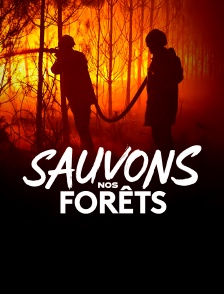 Sauvons nos forêts
