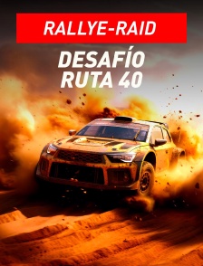 Rallye-raid - Desafío Ruta 40