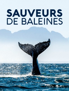 Sauveurs de baleines