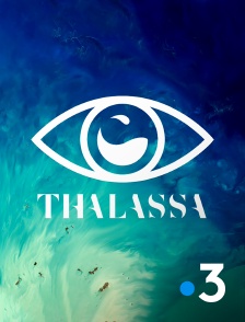 Thalassa