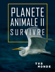 TV5MONDE - Planète animale 2 : Survivre