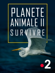 France 2 - Planète animale 2 : Survivre
