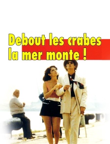 Debout les crabes, la mer monte !