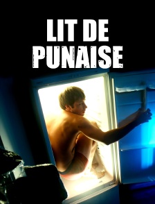 Lit de punaise