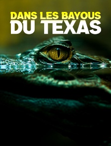 Dans les bayous du Texas