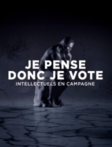 Je pense donc je vote