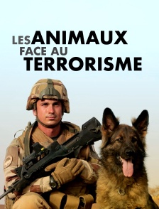 Les animaux face au terrorisme