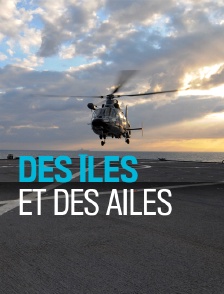 Des îles et des ailes