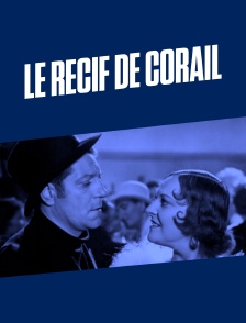 Le récif de corail
