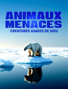 Animaux menacés, créatures aimées de dieu