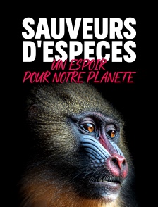Sauveurs d'espèces : Un espoir pour notre planète