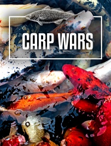 Carp Wars : Champion of Champions