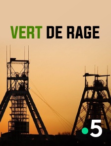 Vert de rage