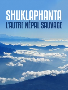 Shuklaphanta, l'autre Népal sauvage