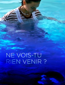 Ne vois-tu rien venir ?
