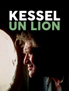 Kessel, un lion