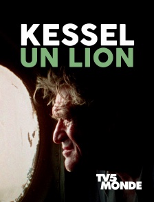 TV5MONDE - Kessel, un lion