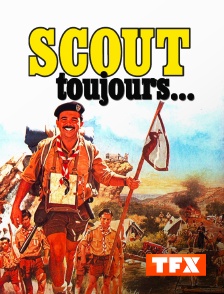 TFX - Scout toujours