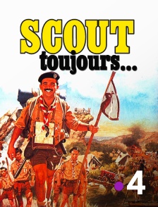 Scout toujours