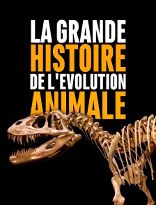 La grande histoire de l'évolution animale