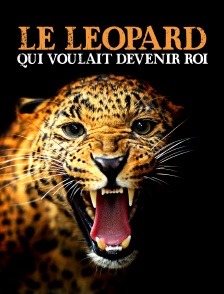 Le léopard qui voulait devenir roi