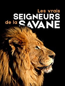 Les vrais seigneurs de la savane