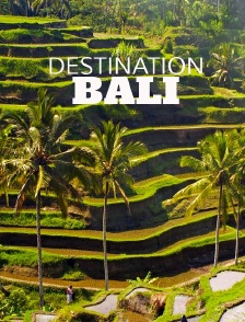 Destination Bali