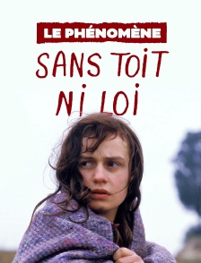 Le phénomène « Sans toit ni loi »