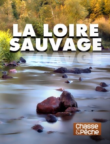 La Loire sauvage