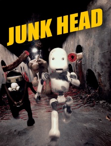 Junk head