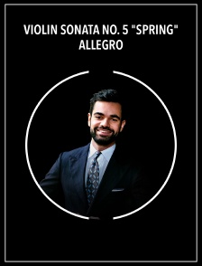 Violin Sonata No. 5 "Spring" | Allegro