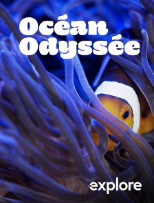 EXPLORE - Océan Odyssée