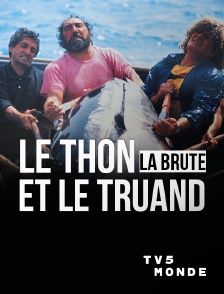 TV5MONDE - Le thon, la brute et le truand