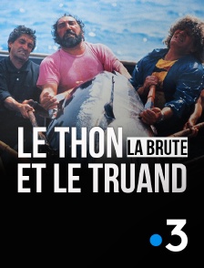 France 3 - Le thon, la brute et le truand
