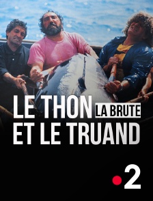 France 2 - Le thon, la brute et le truand