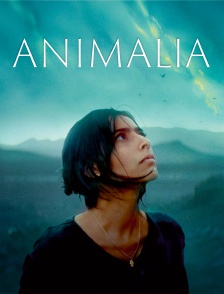 Animalia