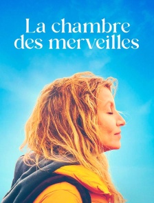 La Chambre des merveilles