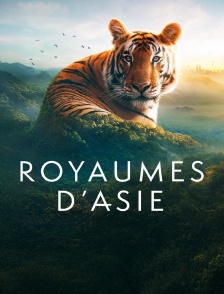 Royaumes d'Asie