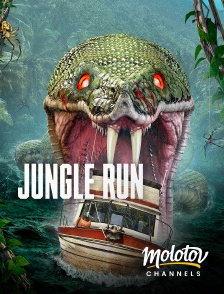 Molotov Channels - Jungle Run