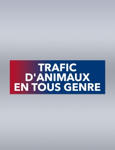 Trafic d'animaux en tous genre