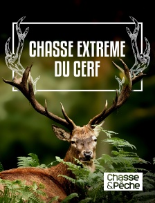 Chasse et pêche - Chasse extrême du cerf