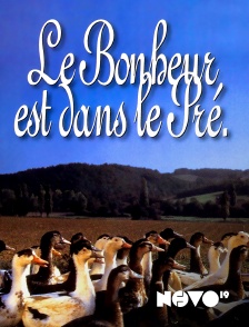 Novo 19 - Le bonheur est dans le pré