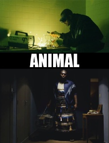 Histoires courtes : Animal