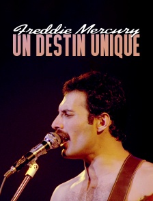 Freddie Mercury, un destin unique