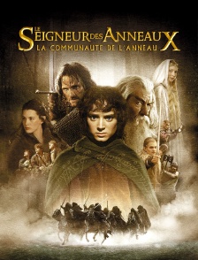 Le seigneur des anneaux : la communauté de l'anneau