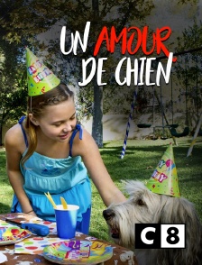 C8 - Un amour de chien