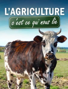 L'agriculture, c'est ce qui nous lie