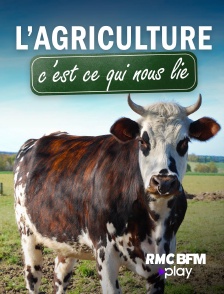 RMC BFM Play - L'agriculture, c'est ce qui nous lie